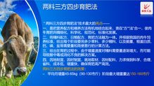泽牧久远亮相2019武汉畜博会 以技术转让引领草食动物营养新风潮