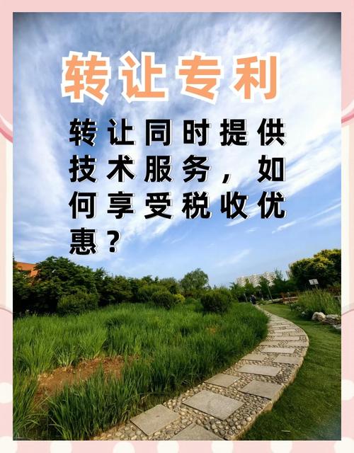 公司技术转让与培训收入合并享税优的条件